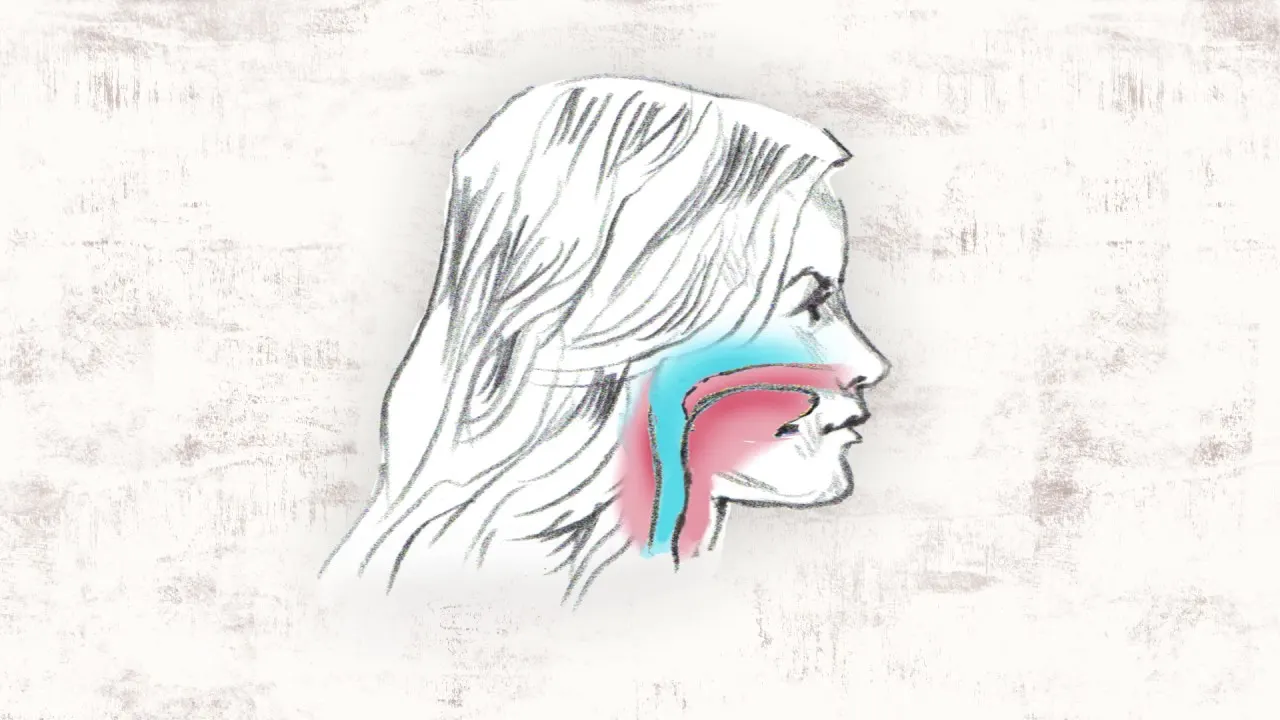 Video: Parent education presentation on children’s airway development